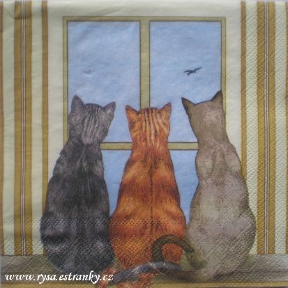 kočky u okna.jpg